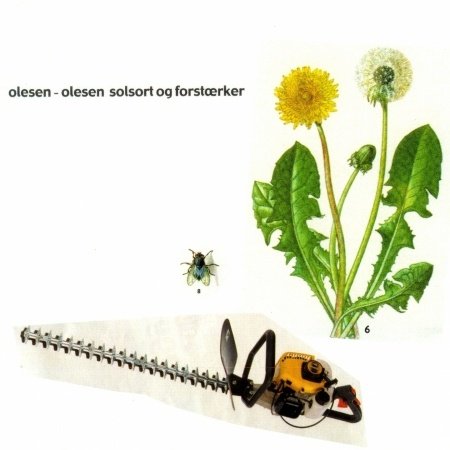 Solsort og Forstærker - Olesen-olesen - Music - MELODIKA - 5703050420044 - October 3, 2005