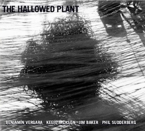 Cover for Vergara / jackson / baker/s · Vergara / jackson / baker/s - Hallowed Plant (CD)