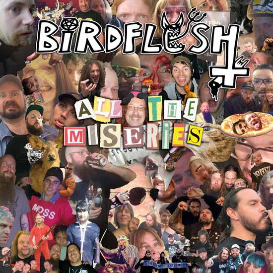 Cover for Birdflesh · All The Miseries (CD) (2024)