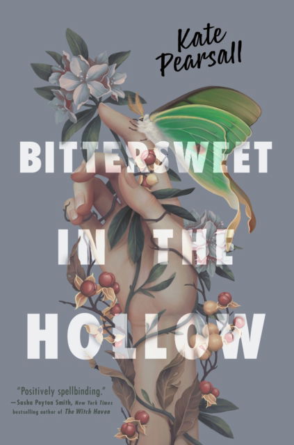 Cover for Kate Pearsall · Bittersweet in the Hollow (Pocketbok) (2025)