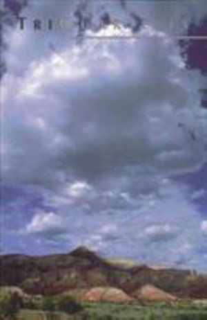 Cover for Yusef Komunyakaa · Triquarterly Issue 105 (Paperback Book) (2006)