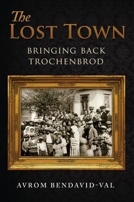 Cover for Avrom Bendavid-val · The Lost Town: Bringing Back Trochenbrod (Paperback Book) (2015)