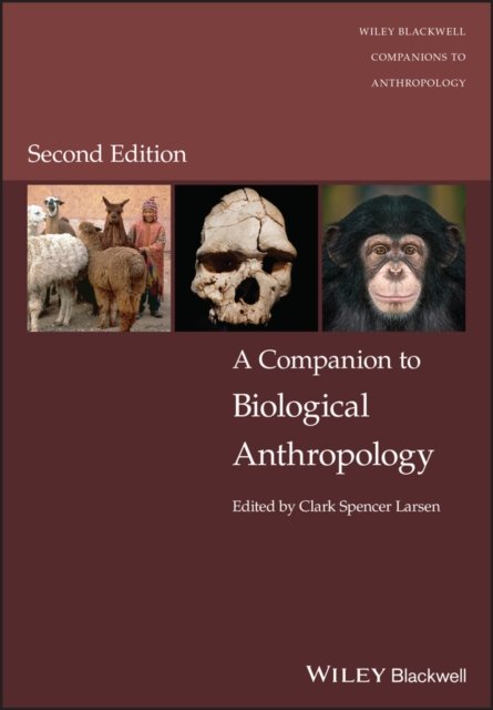 Cover for CS Larsen · A Companion to Biological Anthropology - Wiley Blackwell Companions to Anthropology (Gebundenes Buch) (2023)