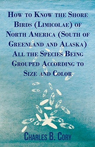 Cover for Charles B Cory · How to Know the Shore Birds (Limicolae) of North America (South of Greenland and Alaska) All the Species Being Grouped According to Size and Color (Pocketbok) (2008)