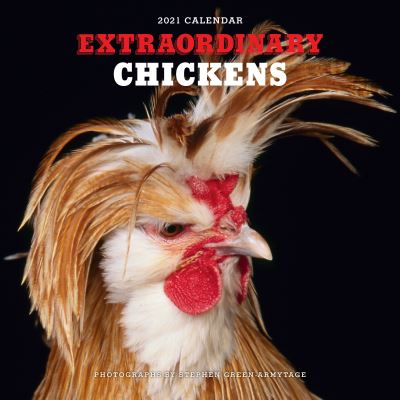 Cover for Stephen Green-Armytage · Extraordinary Chickens 2021 Wall Calendar (Calendar) (2020)