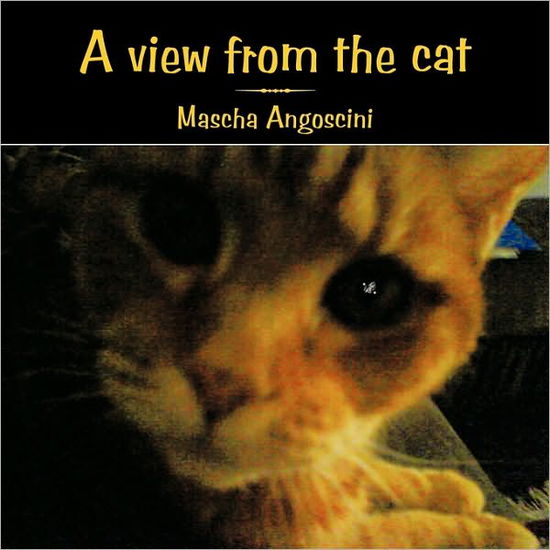 Cover for Mascha Angoscini · A View from the Cat (Taschenbuch) (2010)