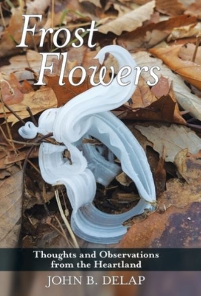 Cover for John B Delap · Frost Flowers (Hardcover Book) (2019)