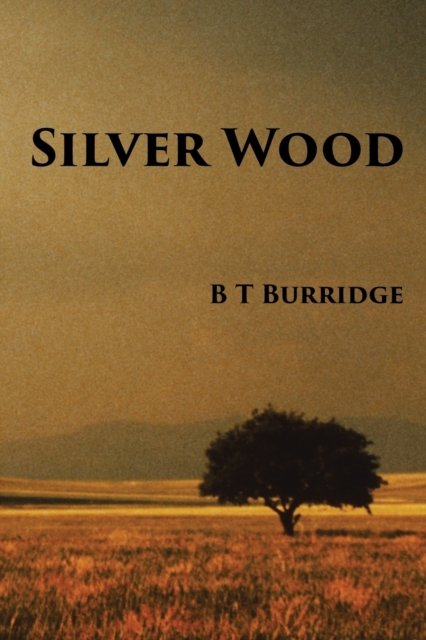 Cover for B T Burridge · Silver Wood (Paperback Book) (2016)
