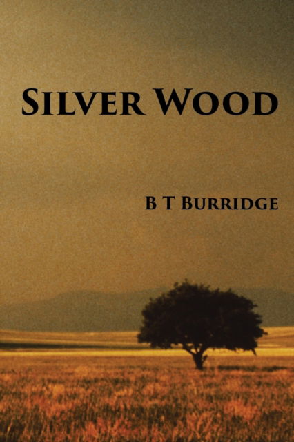 Silver Wood - B T Burridge - Livres - Xlibris - 9781499098044 - 20 janvier 2016