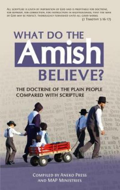 Cover for Aneko Press · What Do the Amish Believe? (Paperback Book) (2017)