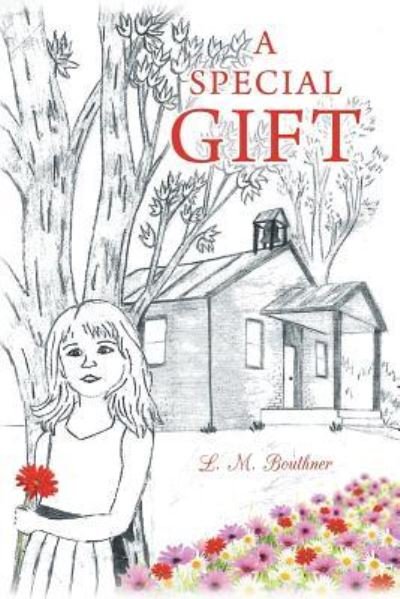 Cover for L M Bouthner · A Special Gift (Paperback Book) (2016)
