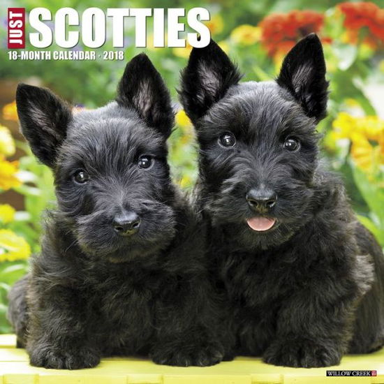 Cover for Willow Creek Press · Just Scotties 2018 Wall Calendar (Dog Breed Calendar) (Book) (2017)