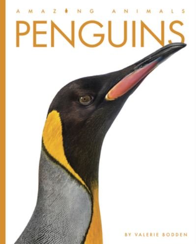Penguins - Valerie Bodden - Andet - Creative Company, The - 9781682771044 - 5. juli 2022