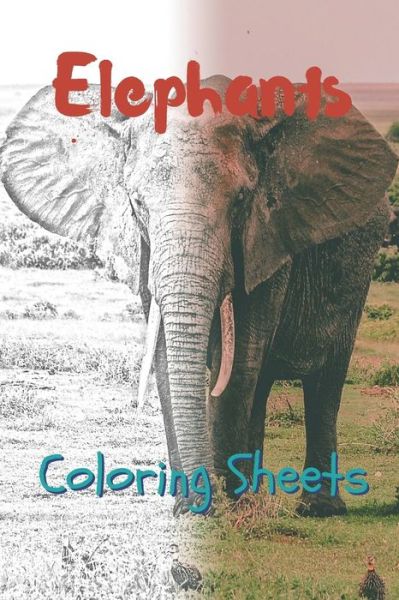 Cover for Julian Smith · Elephant Coloring Sheets (Pocketbok) (2019)