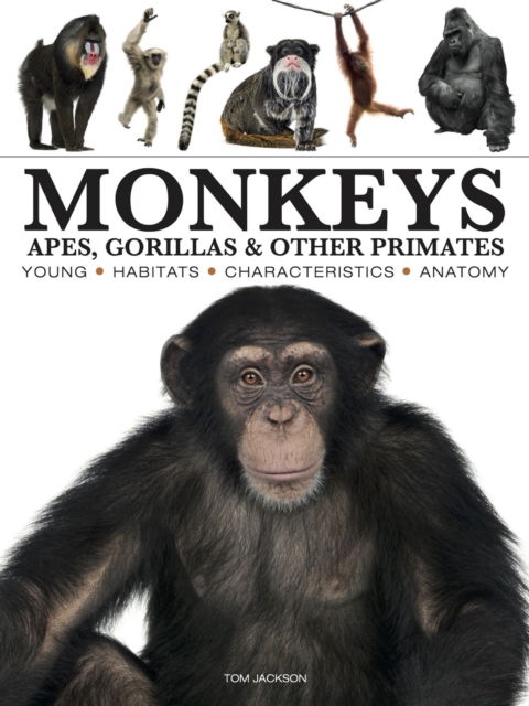 Cover for Tom Jackson · Monkeys - Mini Encyclopedias (Pocketbok) (2025)