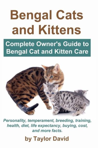 Cover for Taylor David · Bengal Cats and Kittens (Paperback Book) (2013)