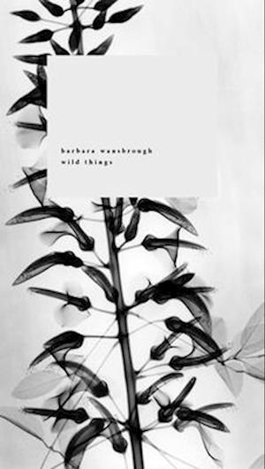 Cover for Barbara Wansbrough · Wild Things: A Geography of Grief (Paperback Bog) (2025)
