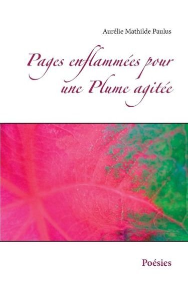 Cover for Paulus · Pages enflammées pour une Plume (Bog) (2016)