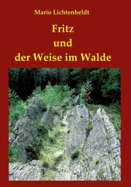 Cover for Lichtenheldt · Fritz und der Weise im Wal (Book) (2018)