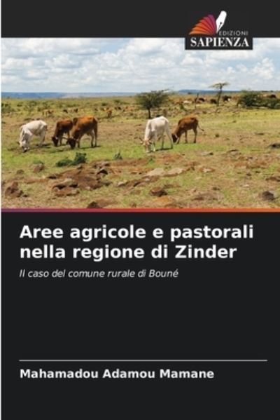 Cover for Mahamadou Adamou Mamane · Aree agricole e pastorali nella regione di Zinder (Paperback Book) (2021)