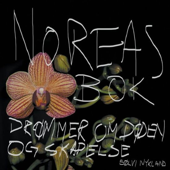 Cover for Solvi Nykland · Noreas Bok: Drommer Om Doden og Skapelse (Paperback Book) [Norwegian edition] (2013)