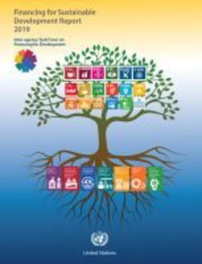 Cover for United Nations: Department of Economic and Social Affairs · Inter-agency task force on financing for development inaugural report 2019: financing for sustainable development report 2019 (Paperback Book) (2019)