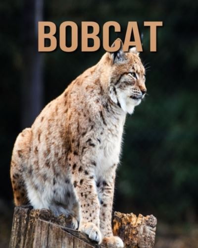 Cover for Joe Murphy · Bobcat (Paperback Book) (2020)