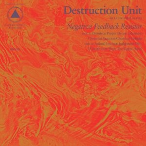 Negative Feedback Resistor - Destruction Unit - Musique - SACRED BONES RECORDS - 0616892313045 - 18 septembre 2015