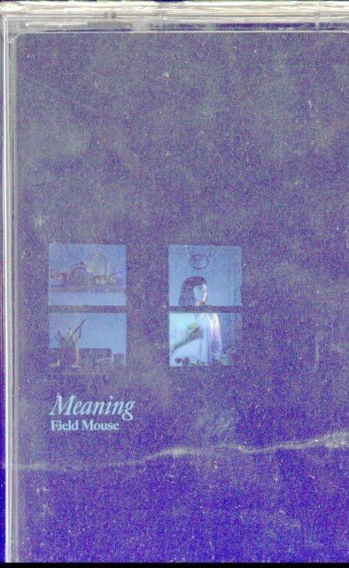 Meaning - Field Mouse - Music - TOPSHELF RECORDS - 0634457826045 - August 16, 2019