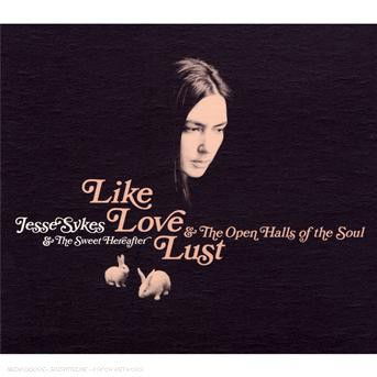 Like Love Lust & The Open Halls Of The S - Jesse Sykes & Sweet Hereafter - Música - FARGO - 3298490211045 - 5 de fevereiro de 2007