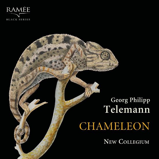 Cover for New Collegium · Telemann: Chameleon (CD) (2019)