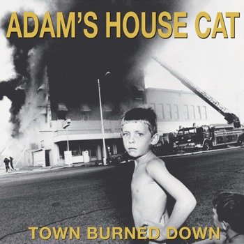Cover for Adam's House Cat · Town Burned Down (LP) (2018)