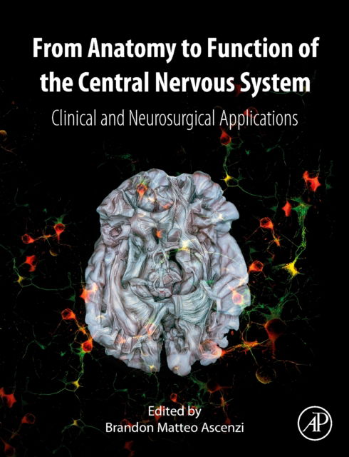 From Anatomy to Function of the Central Nervous System: Clinical and Neurosurgical Applications - Brandon Matteo Ascenzi - Książki - Elsevier Science Publishing Co Inc - 9780128224045 - 29 sierpnia 2024