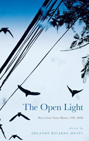 Cover for Orlando Ricardo Menes · Open Light (Book) (2022)