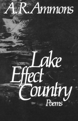 Lake Effect Country: Poems - A. R. Ammons - Books - WW Norton & Co - 9780393301045 - May 23, 1984