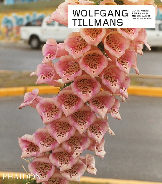 Cover for Peter Halley · Wolfgang Tillmans - Phaidon Contemporary Artists Series (Innbunden bok) [Revised edition] (2014)