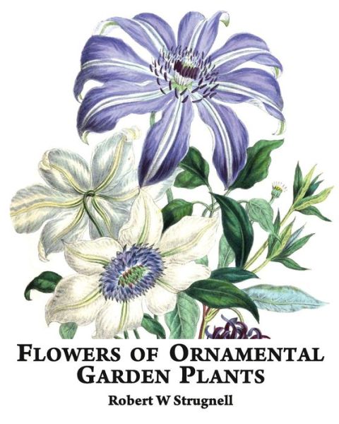 Cover for Robert W Strugnell · Flowers of Ornamental Garden Plants (Paperback Book) (2016)