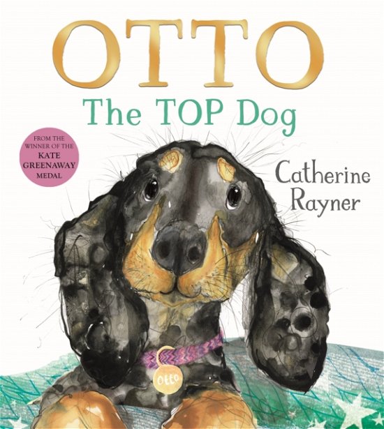 Otto The Top Dog - Catherine Rayner - Livres - Pan Macmillan - 9781035022045 - 11 juillet 2024
