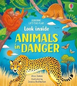Look inside Animals in Danger - Look Inside - Alice James - Bøger - Usborne Publishing Ltd - 9781474999045 - 28. april 2022