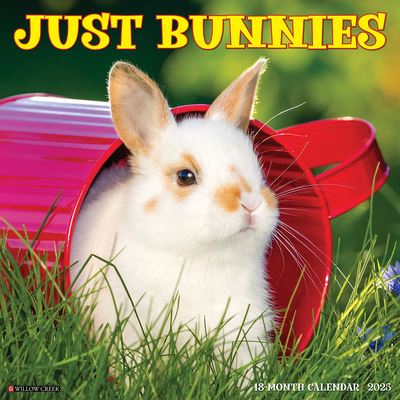 Willow Creek Press · Just Bunnies 2025 12 X 12 Wall Calendar (Calendar) (2024)