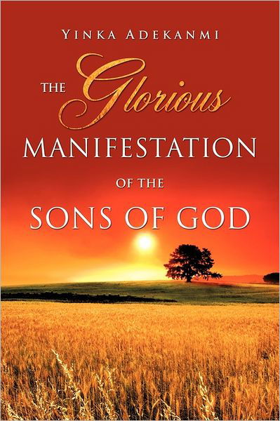 Cover for Y I N K a a D E K a N M I · The Glorious Manifestation of the Sons of God (Paperback Bog) (2011)
