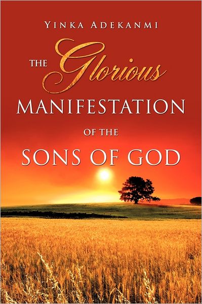 Cover for Y I N K a a D E K a N M I · The Glorious Manifestation of the Sons of God (Paperback Book) (2011)