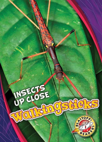 Cover for Patrick Perish · Walkingsticks - Insects Up Close (Hardcover Book) (2019)