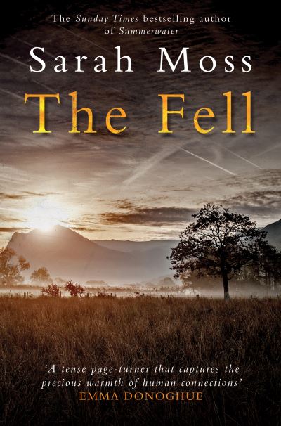 Cover for Sarah Moss · The Fell (Pocketbok) (2022)