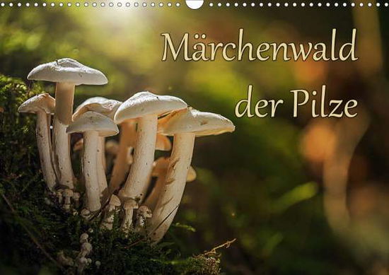 Cover for Radtke · Märchenwald der Pilze (Wandkalen (Book)