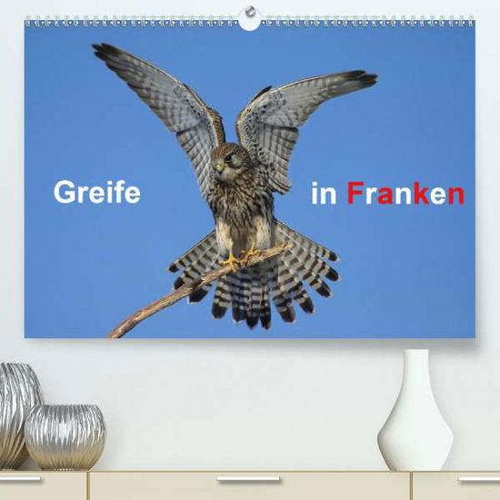 Cover for Bachmeier · Greife in Franken (Premium, h (Book)