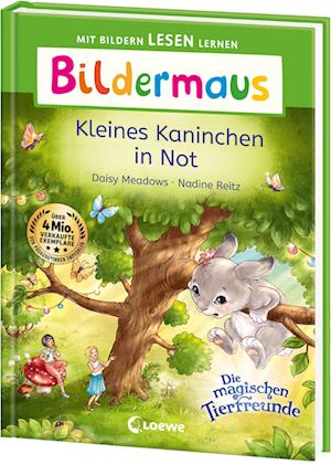 Cover for Daisy Meadows · Bildermaus - Kleines Kaninchen in Not (Book) (2025)