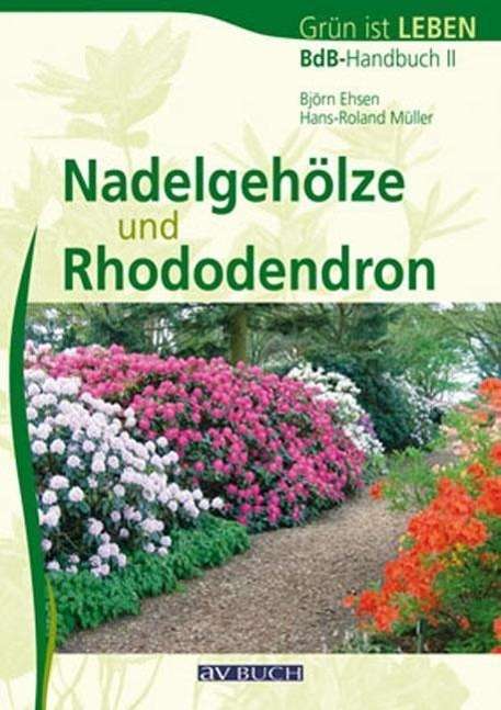 Cover for Hans-roland MÃ¼ller BjÃ¶rn Ehsen · Nadelgehölze und Rhododendron (Book)