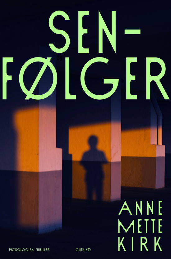 Cover for Anne Mette Kirk · Senfølger (Sewn Spine Book) [1º edição] (2024)