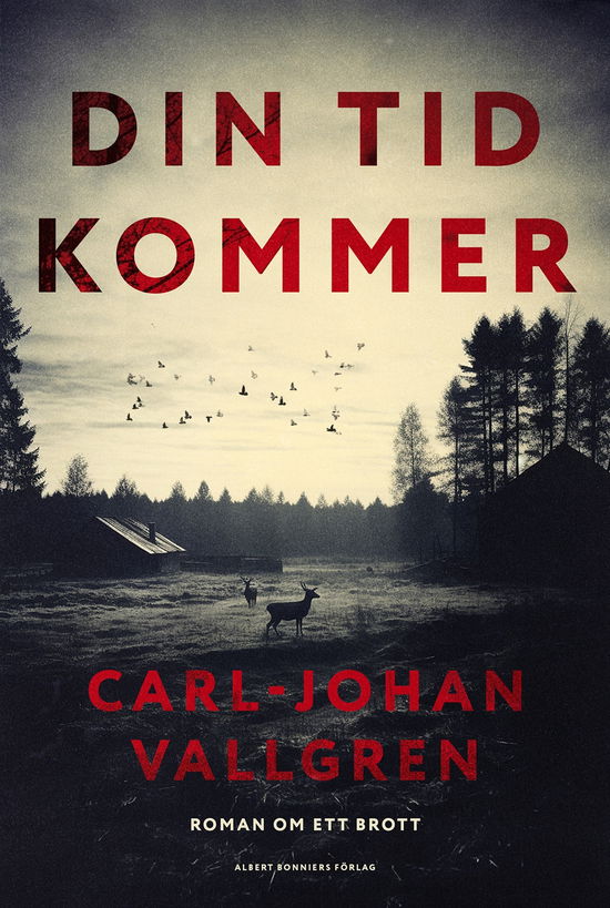 Cover for Carl-Johan Vallgren · Din tid kommer (Gebundesens Buch) (2024)